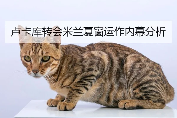 卢卡库转会米兰夏窗运作内幕分析